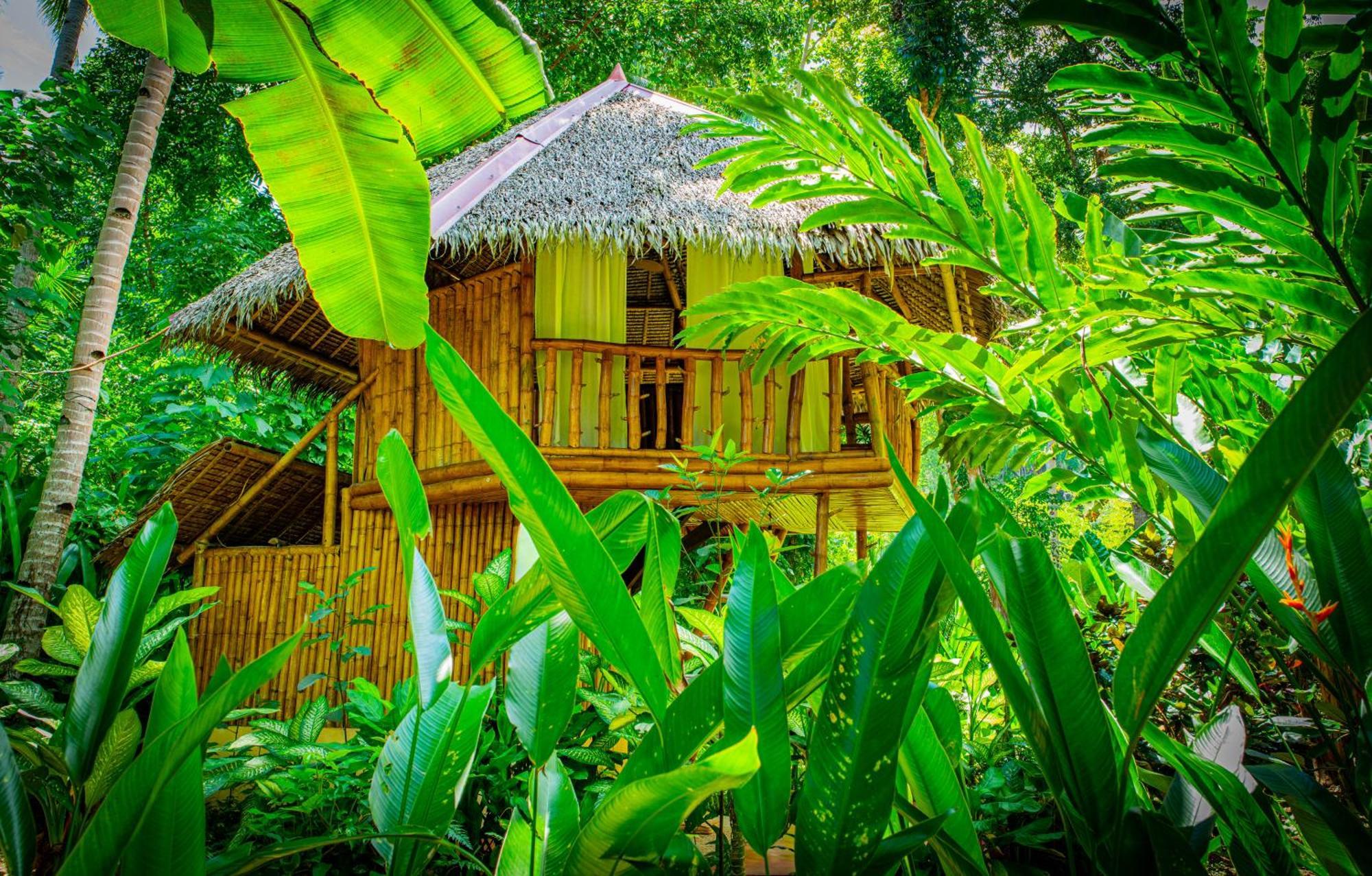 לובוק Water To Forest Ecolodge מראה חיצוני תמונה